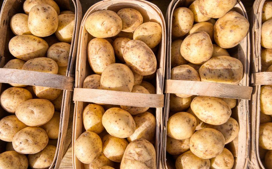 Tarihin seyrini değiştiren sebze: Patates